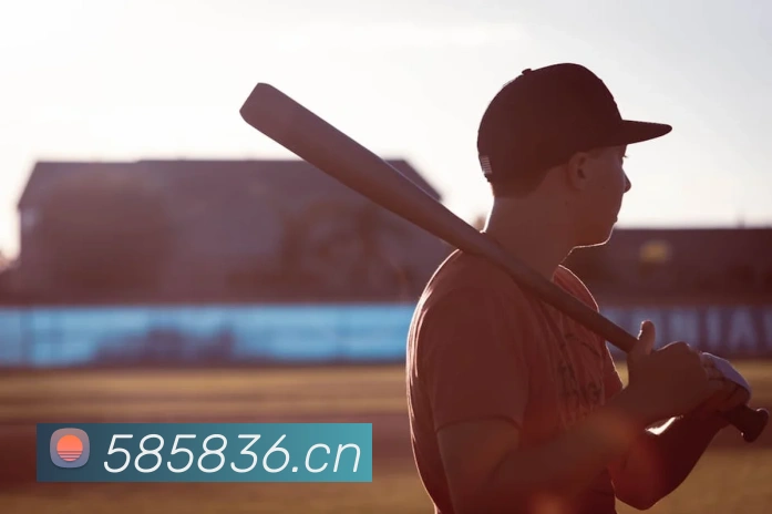 爱游戏ayx网页版入口发展历程